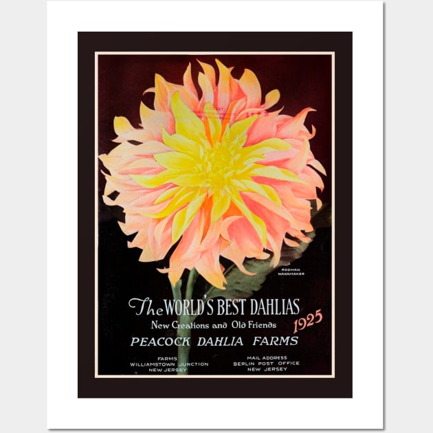 Peacock Dahlia Farms Catalogue 1925 Wall Art by WAITE-SMITH VINTAGE ART